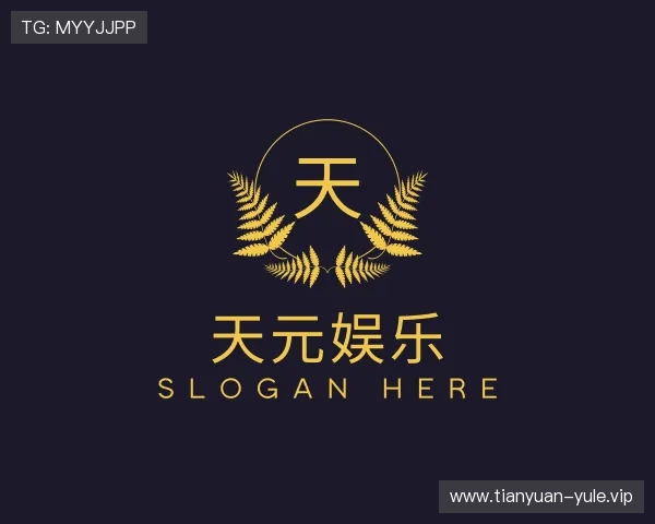 关于天元娱乐